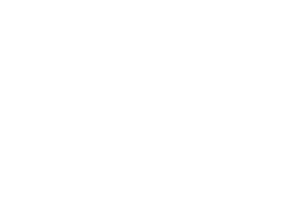 novo logo